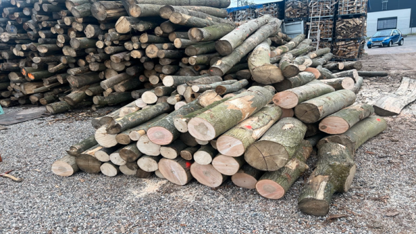 Stammholz – Hartholzmix – Bild 4