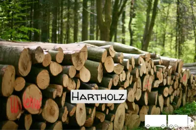 Stammholz - Hartholz / Laubholz - halbe LKW-Ladung