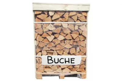 Brennholz Palette - Buche - 25 cm - kammergetrocknet - 1 RM