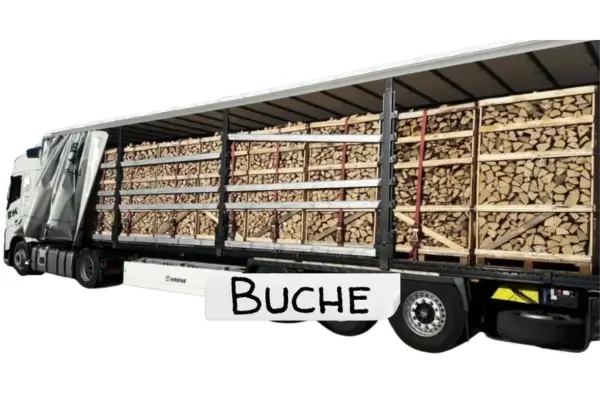 LKW-Ladung Brennholz - Buche - 25 cm - kammergetrocknet - 1,8 RM Paletten