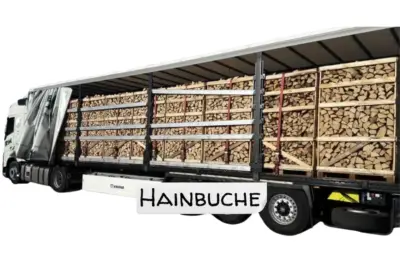LKW-Ladung Brennholz - Hainbuche - 30/33 cm - kammergetrocknet - 2 RM Paletten