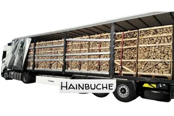 LKW-Ladung Brennholz - Hainbuche - 30/33 cm - kammergetrocknet - 2 RM Paletten