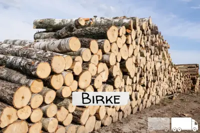 Stammholz - Birke - halbe LKW-Ladung